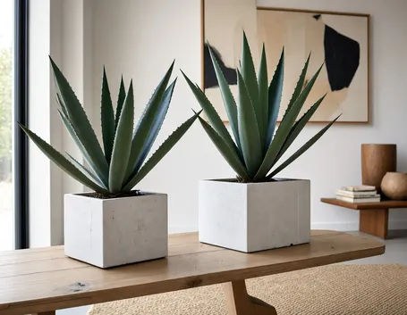 verde in casa