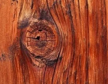 legno