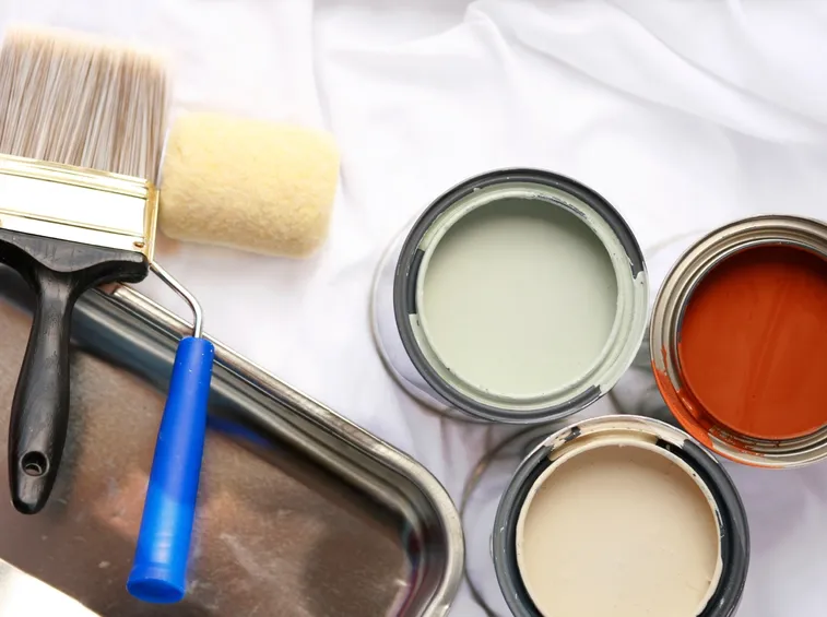 pittura antimuffa