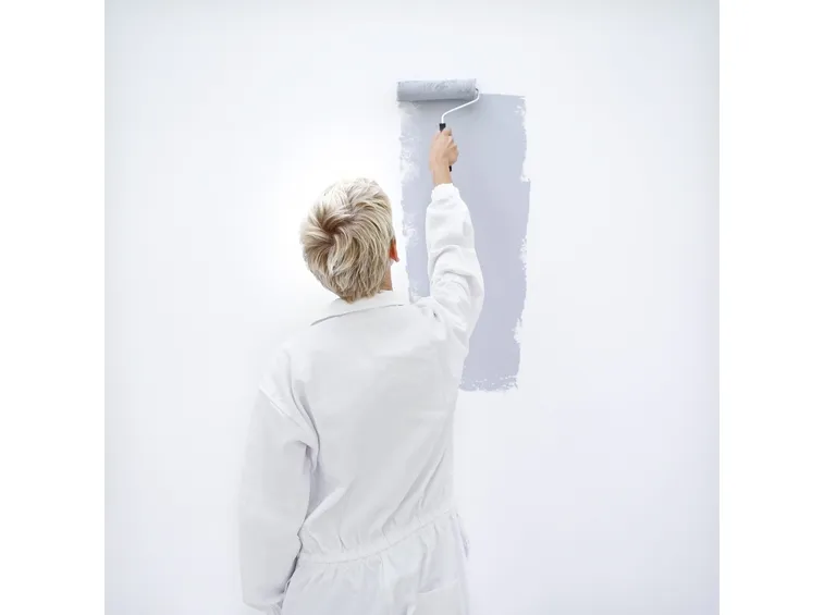 pittura antimuffa