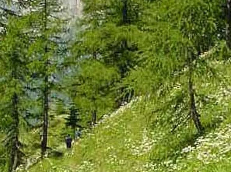 il giardino naturale