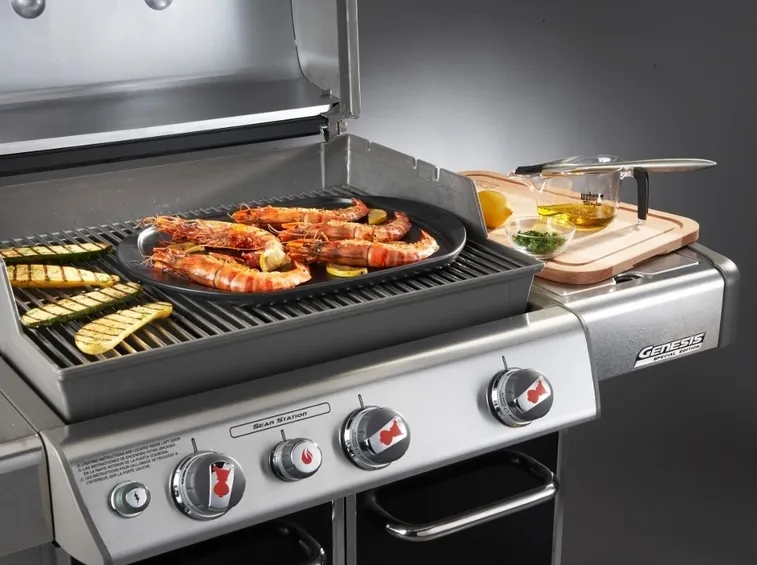 esempio barbecue a gas