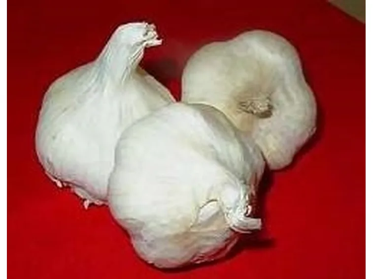 aglio