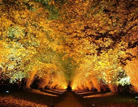 Valorizzare il giardino