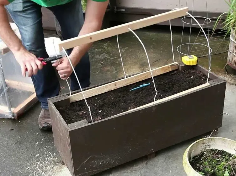 creazione mini serra fai da te