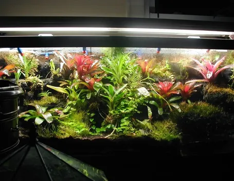 Terrari