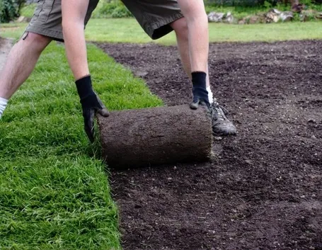 stesura rotoli di erba
