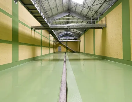 Resina per pareti