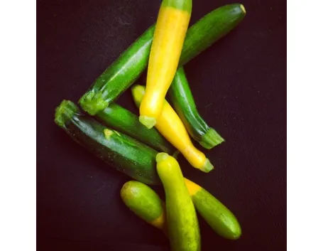 zucchine
