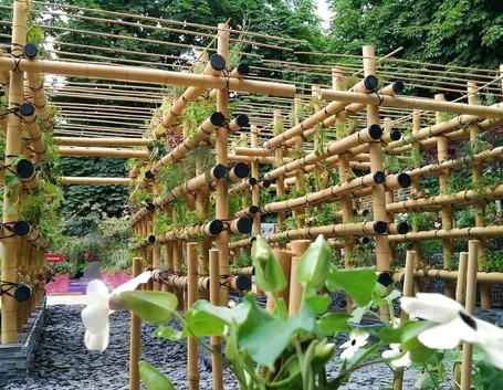 Come realizzare il Potager