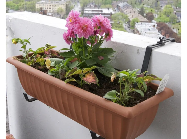 Portavaso da balcone sospeso