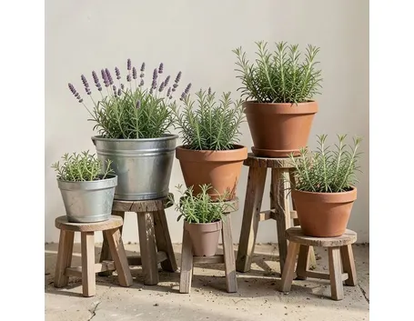 Vasi da giardino