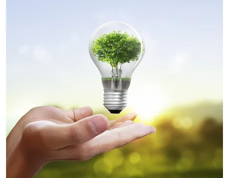 del risparmio energetico beneficia anche la natura