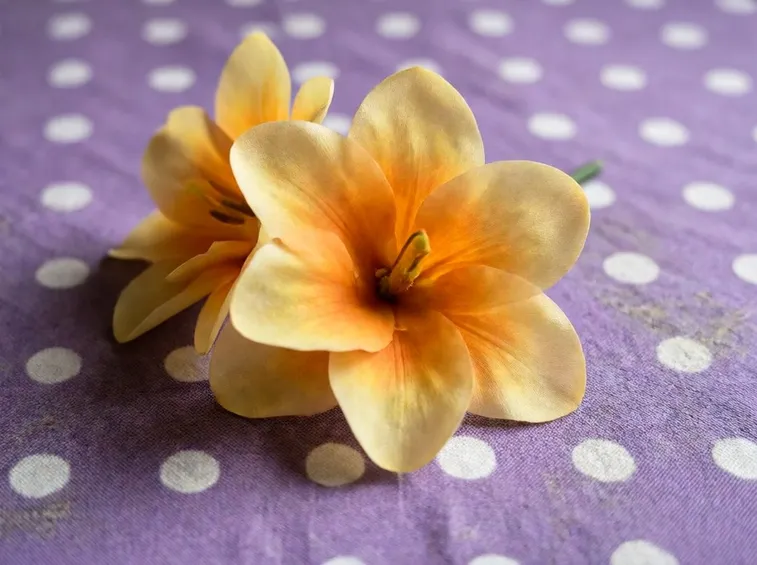 Video Fiori Finti